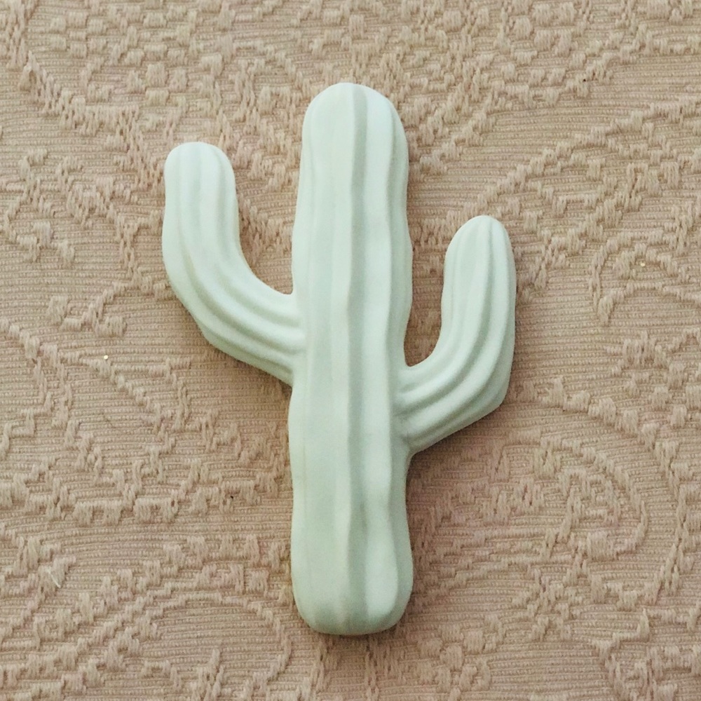 Cactus wall ornament